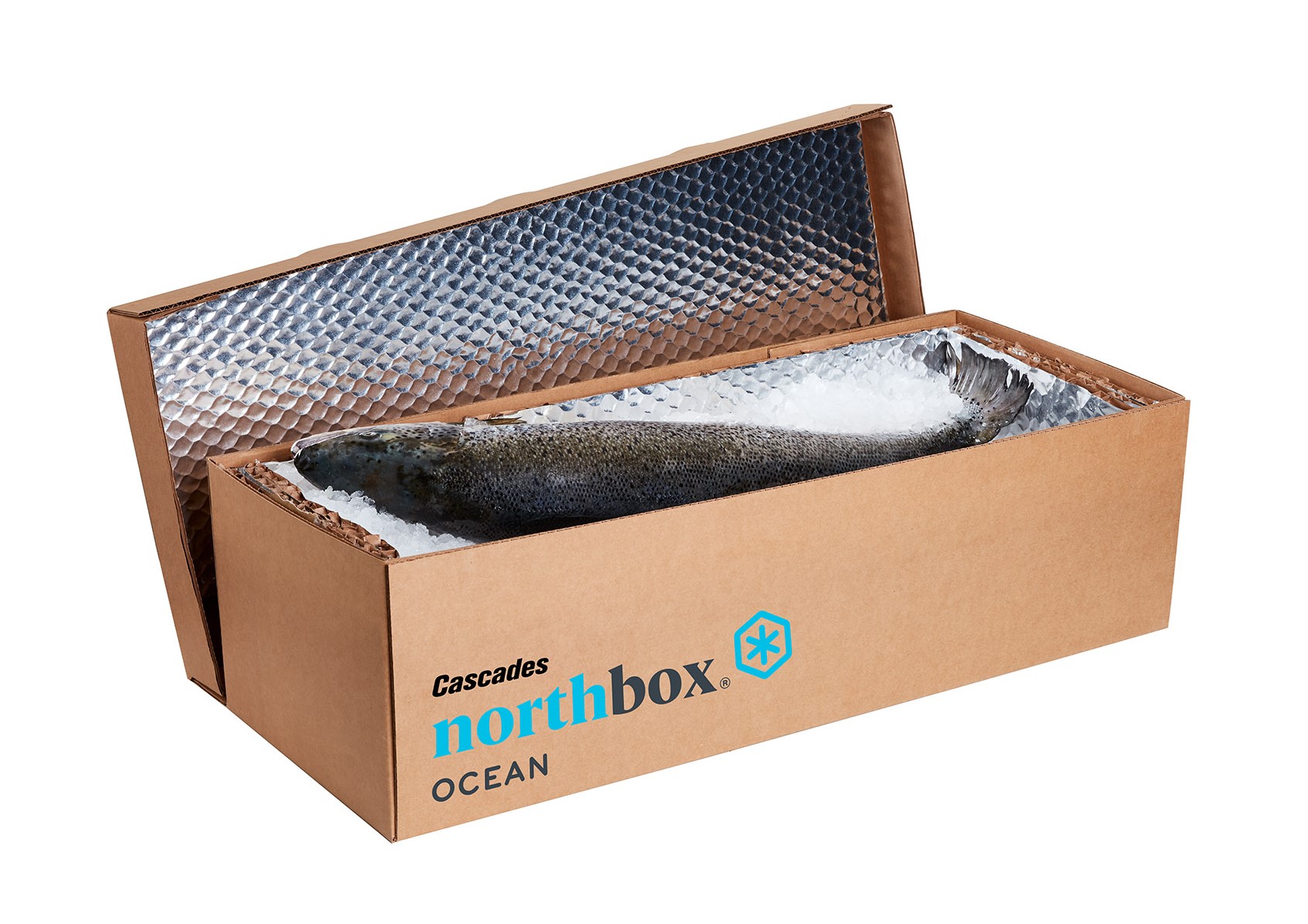boite-isolante-recyclable-impermeable-poisson-frais