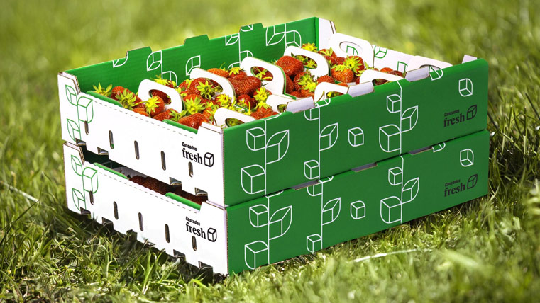 Cascades tray and baskets for fruits and vegetables