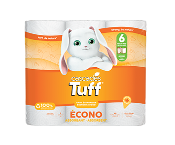 Paper Towel economic Cascades Tuff Econo