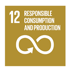 sustainable developpement goal 12