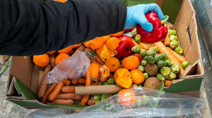 The planet: there are no winners with food waste