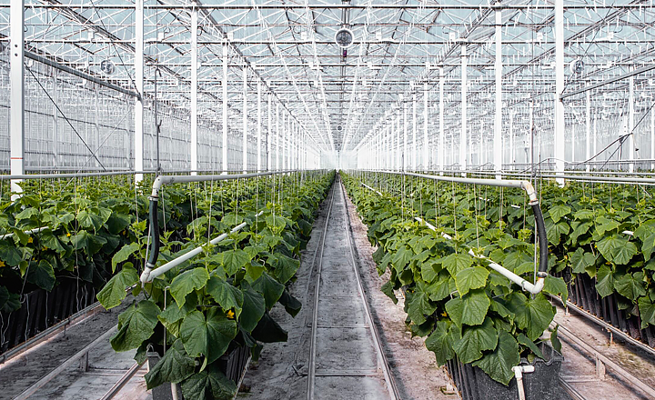 Toundra Greenhouse serres - case study